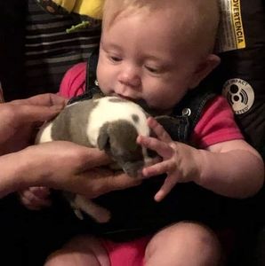 Meet your Posher, John